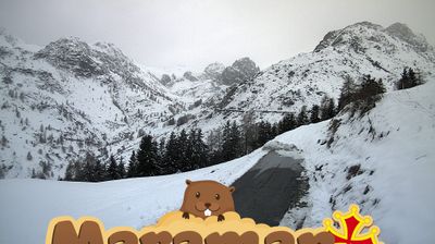 immagine della webcam nei dintorni di Vignolo: webcam Castelmagno