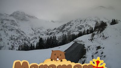 immagine della webcam nei dintorni di Demonte: webcam Castelmagno