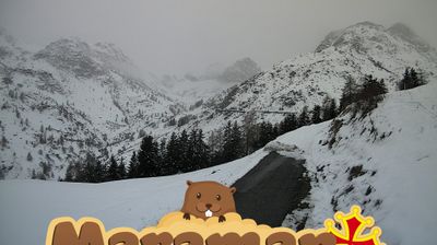 immagine della webcam nei dintorni di Pradleves: webcam Castelmagno