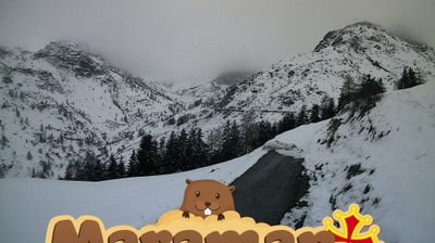 immagine della webcam nei dintorni di Vinadio: webcam Castelmagno