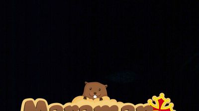 immagine della webcam nei dintorni di Vignolo: webcam Castelmagno