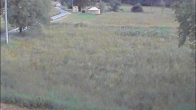 immagine della webcam nei dintorni di Acceglio: webcam Aisone