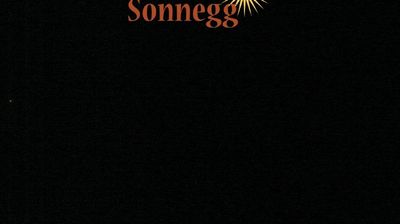 immagine della webcam nei dintorni di Senales: webcam Rifiano