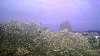 Preview delle webcam di Binago