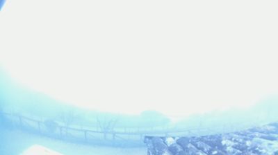 immagine della webcam nei dintorni di Fiesso d'Artico: webcam Galzignano Terme