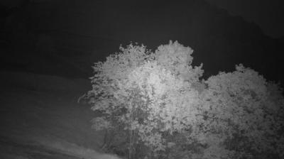 Preview delle webcam di Stresa: Monte Mottarone - Campetti _ Milanesi