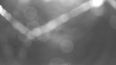 immagine della webcam nei dintorni di Domaso: webcam Colico