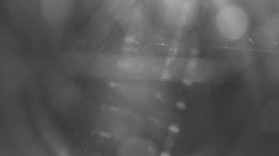immagine della webcam nei dintorni di Bellano: webcam Colico