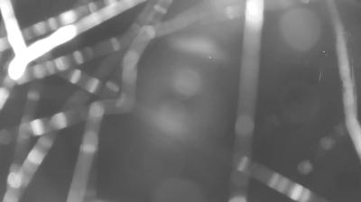 immagine della webcam nei dintorni di Dosso del Liro: webcam Colico