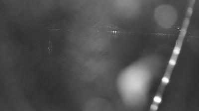 immagine della webcam nei dintorni di Bellano: webcam Colico