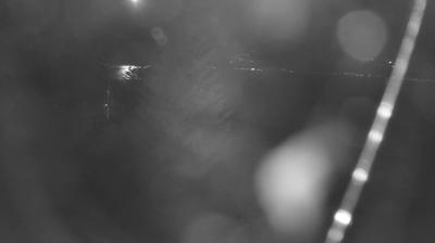 immagine della webcam nei dintorni di Val Masino: webcam Colico