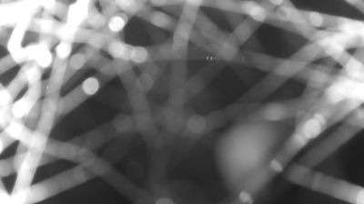 immagine della webcam nei dintorni di Rasura: webcam Colico