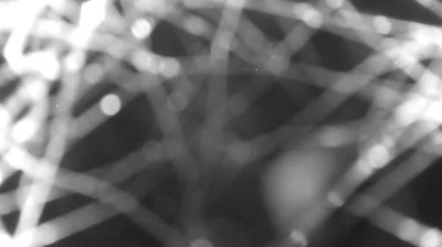 immagine della webcam nei dintorni di Morbegno: webcam Colico