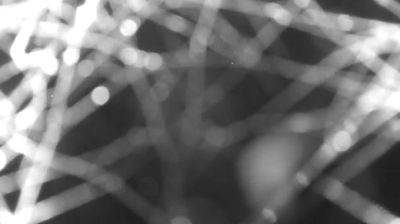 immagine della webcam nei dintorni di Val di Mello: webcam Colico