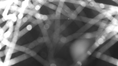 immagine della webcam nei dintorni di San Giacomo Filippo: webcam Colico