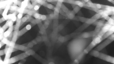 immagine della webcam nei dintorni di Piuro: webcam Colico