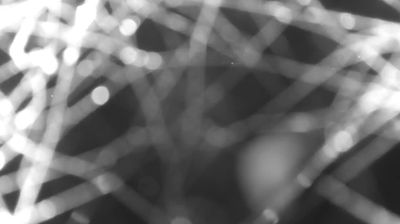 immagine della webcam nei dintorni di Val Masino: webcam Colico