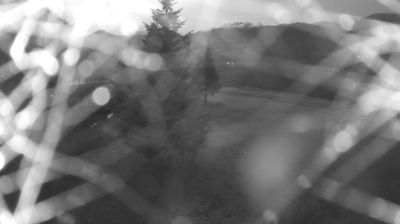 immagine della webcam nei dintorni di Bellano: webcam Colico