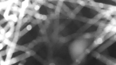 immagine della webcam nei dintorni di Pianello del Lario: webcam Colico