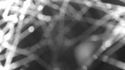 immagine della webcam nei dintorni di Domaso: webcam Colico