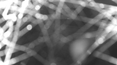 immagine della webcam nei dintorni di Consiglio di Rumo: webcam Colico