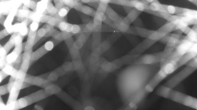 immagine della webcam nei dintorni di Dervio: webcam Colico