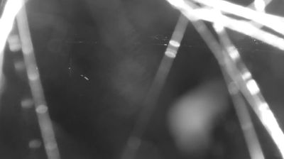 immagine della webcam nei dintorni di Talamona: webcam Colico