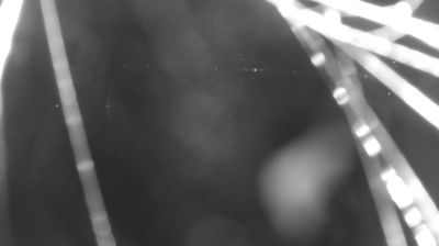 immagine della webcam nei dintorni di Gravedona: webcam Colico