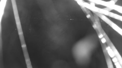 immagine della webcam nei dintorni di Sant'Abbondio: webcam Colico