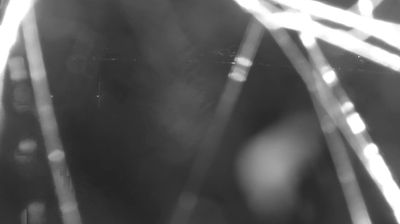 immagine della webcam nei dintorni di Montemezzo: webcam Colico