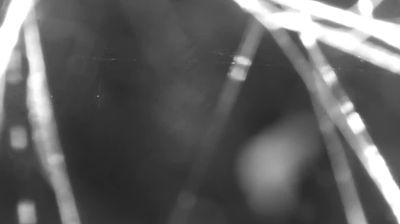 immagine della webcam nei dintorni di Albaredo per San Marco: webcam Colico