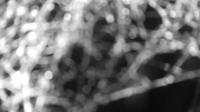 immagine della webcam nei dintorni di Menarola: webcam Colico