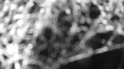immagine della webcam nei dintorni di Talamona: webcam Colico