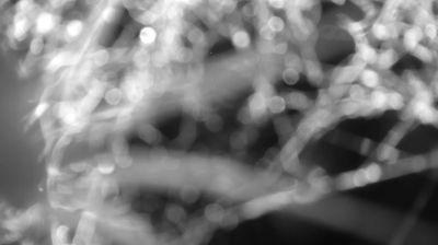 immagine della webcam nei dintorni di Talamona: webcam Colico