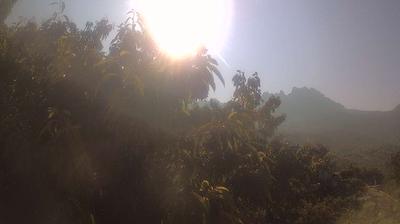 immagine della webcam nei dintorni di Montignoso: webcam Campo Cecina