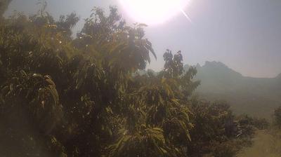 immagine della webcam nei dintorni di Montignoso: webcam Campo Cecina