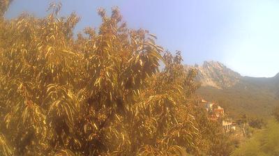 immagine della webcam nei dintorni di Massa: webcam Campo Cecina