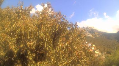immagine della webcam nei dintorni di Cerreto Laghi: webcam Campo Cecina
