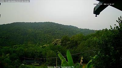 Preview delle webcam di Castagneto Po