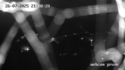 immagine della webcam nei dintorni di Monsummano Terme: webcam Prunetta