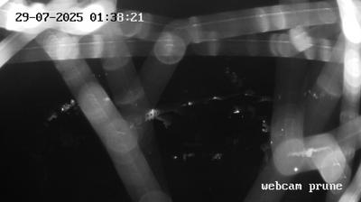 immagine della webcam nei dintorni di Cantagallo: webcam Prunetta