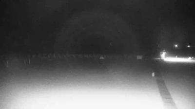 immagine della webcam nei dintorni di Venezia: webcam Cavallino-Treporti