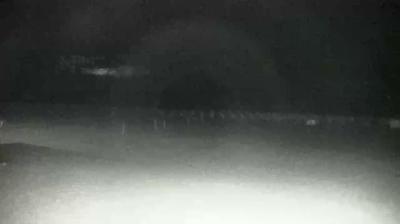 immagine della webcam nei dintorni di Ponte di Piave: webcam Cavallino