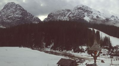 immagine della webcam nei dintorni di Verzegnis: webcam Sappada