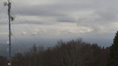 immagine della webcam nei dintorni di Piave: webcam Piancavallo