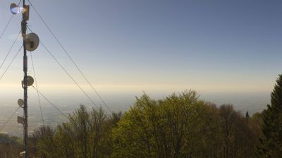 immagine della webcam nei dintorni di Pian del Cansiglio: webcam Piancavallo