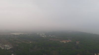 immagine della webcam nei dintorni di Chioggia: webcam Cavallino-Treporti