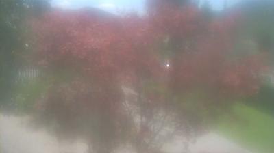 immagine della webcam nei dintorni di Tarcento: webcam San Pietro al Natisone