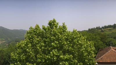 immagine della webcam nei dintorni di Serravalle Langhe: webcam Bosia