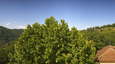 immagine della webcam nei dintorni di Cossano Belbo: webcam Bosia